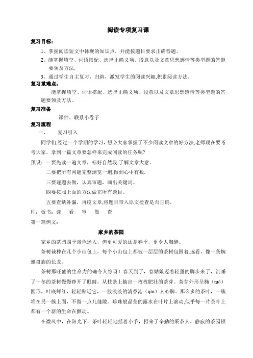 阅读专项复习课教案