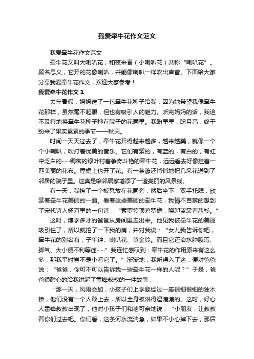 我爱牵牛花作文范文