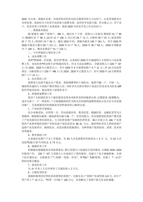 扶贫工作总结范文2020.docx