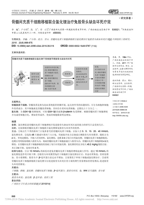 骨髓间充质干细胞移植联合氯化锂治疗兔股骨头缺血坏死疗效_李巍