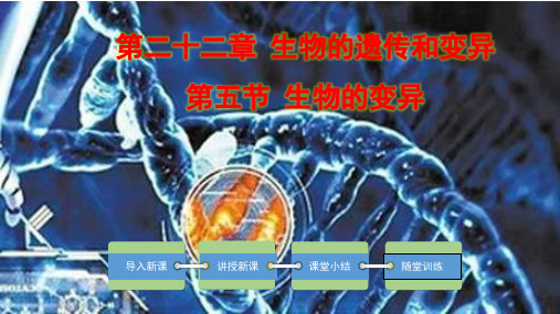 8.22.5 生物的变异(课件)八年级生物下册课件(苏教版)