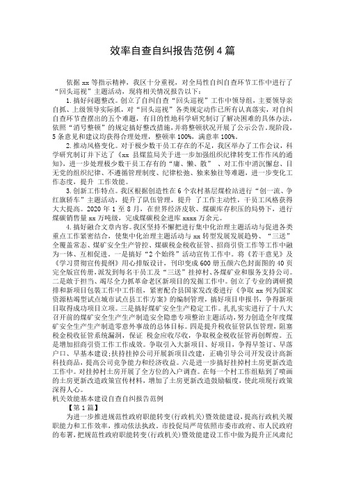 效率自查自纠报告范例4篇