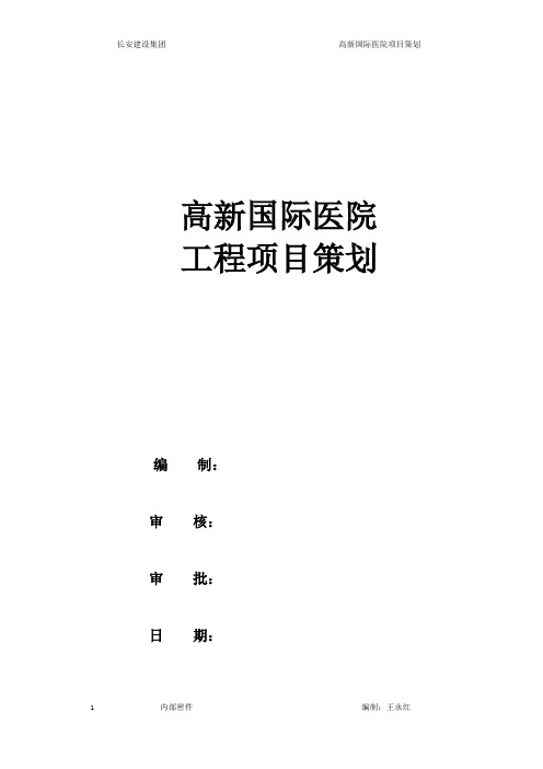 高新国际医院工程项目策划