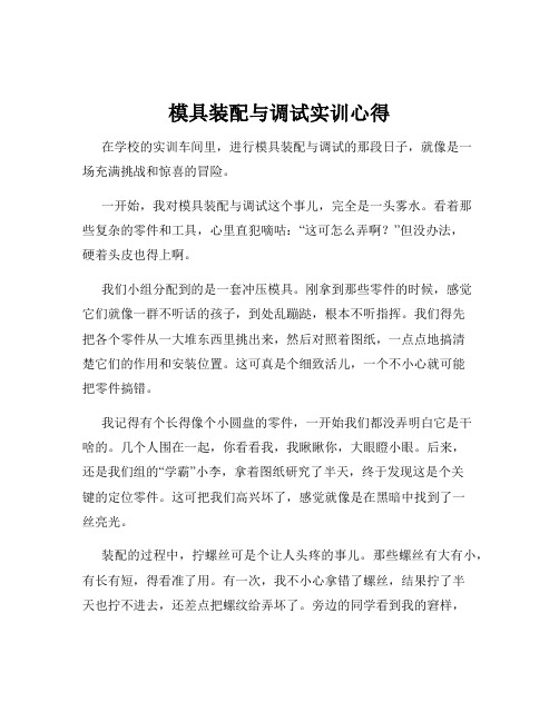 模具装配与调试实训心得