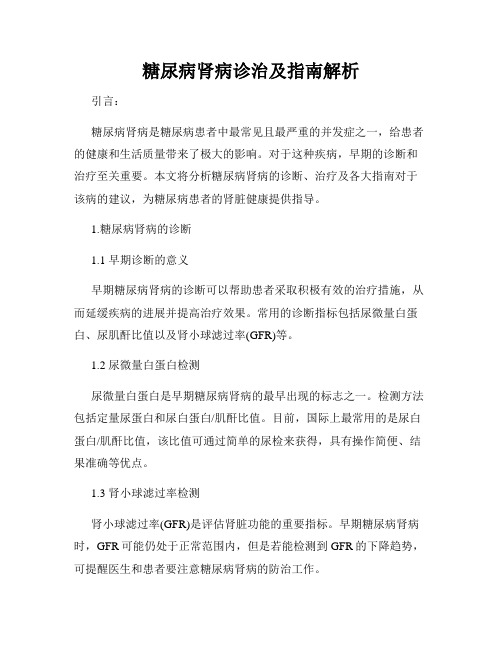 糖尿病肾病诊治及指南解析