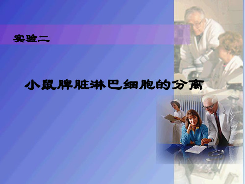 报告实验二：淋巴细胞分离实验.ppt