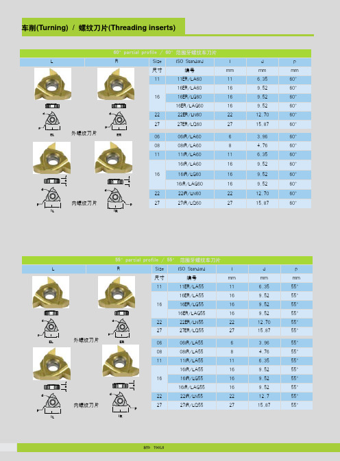 螺纹刀片（Turning）（Threadinginserts）