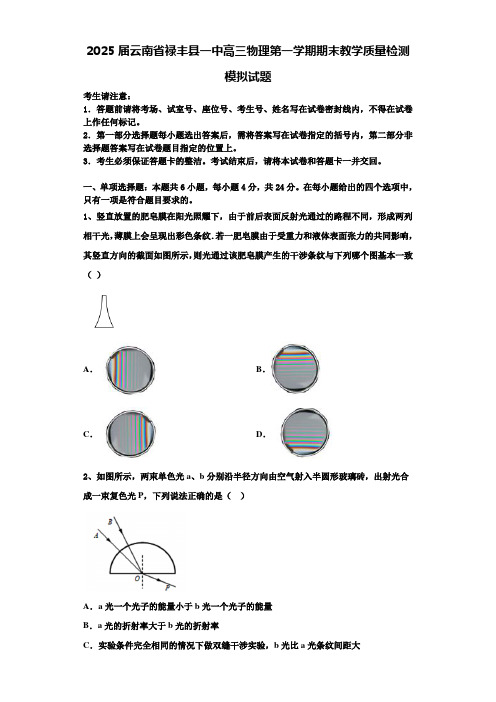 2025届云南省禄丰县一中高三物理第一学期期末教学质量检测模拟试题含解析