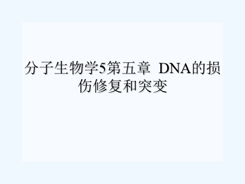 分子生物学5第五章  DNA的损伤修复和突变[可修改版ppt]