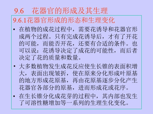 花器官形成的形态和生理变化