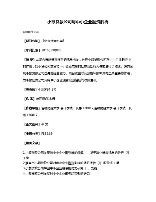 小额贷款公司与中小企业融资解析