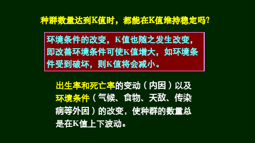 种群数量波动与计数解析