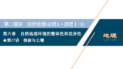 2021版新高考地理(人教版)复习课件：第17讲 植被与土壤 