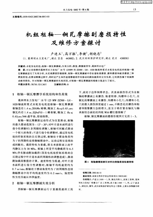 机组枢轴—铜瓦摩擦副磨损特性及维修方案探讨