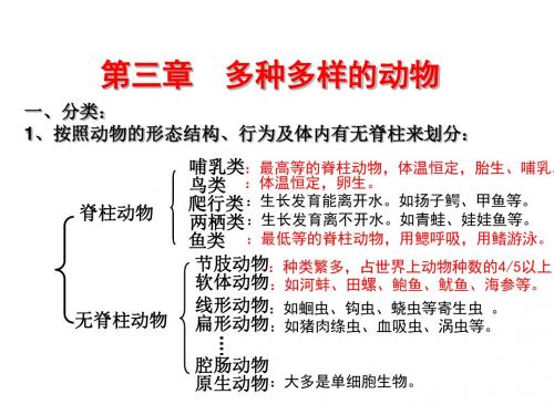 【初中生物】多种多样的动物PPT课件