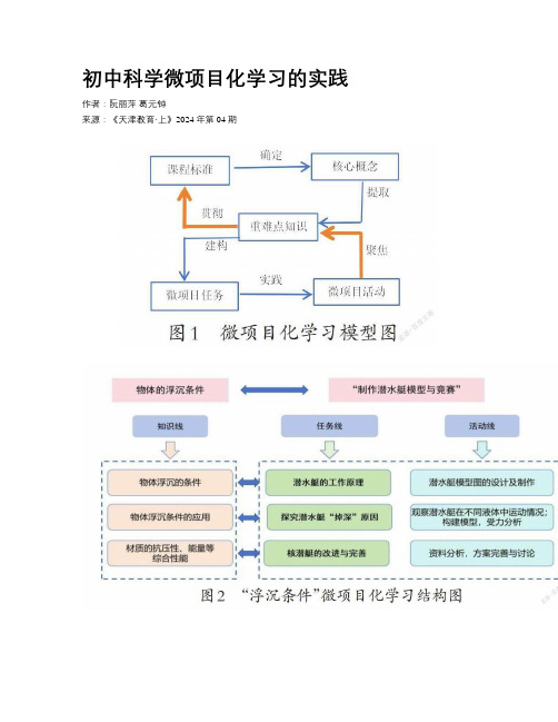 初中科学微项目化学习的实践