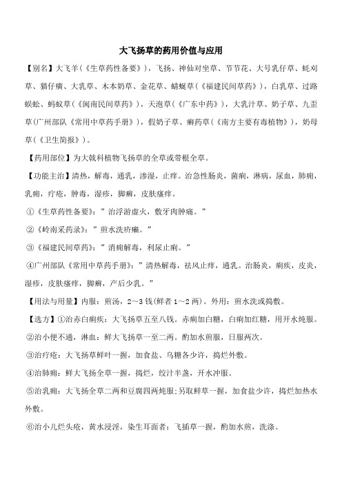 【优秀文档】大飞扬草的药用价值与应用