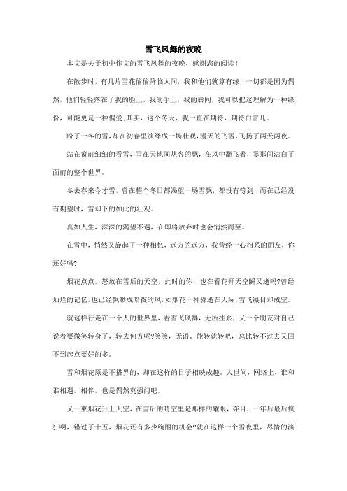 雪飞风舞的夜晚_初中作文