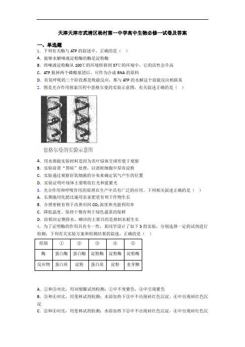 天津天津市武清区杨村第一中学高中生物必修一试卷及答案