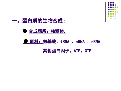 蛋白质合成及转运生科课件.ppt