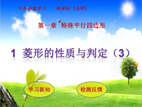 1 菱形的性质与判定(3)