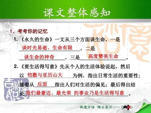 八年级上册(初二上学期)语文15.《典中点》习题课件