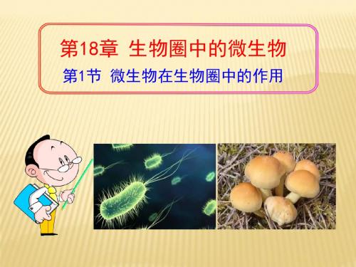 18.1微生物在生物圈中的作用