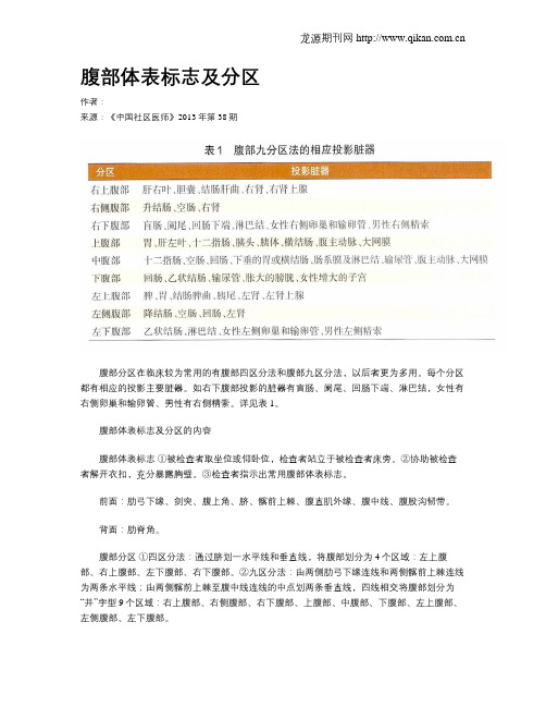 腹部体表标志及分区