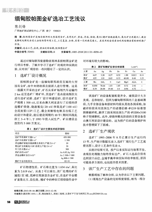 缅甸胶帕图金矿选冶工艺浅议