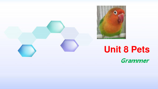 牛津译林版英语七年级下册：Unit 8 Pets-Grammar  课件(共35张PPT)