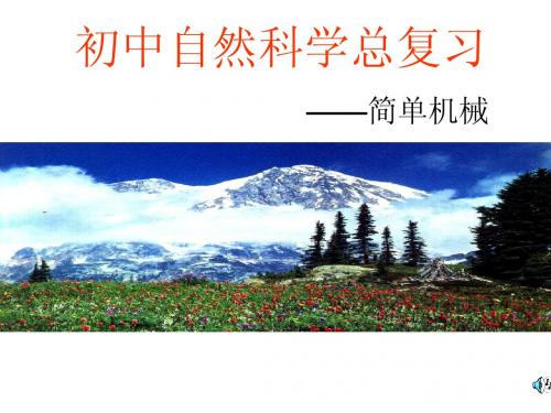 杠杆的总复习课件