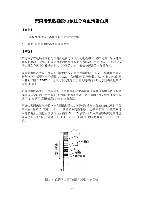 生物化学实验--聚丙烯酰胺凝胶电泳法分离血清蛋白质