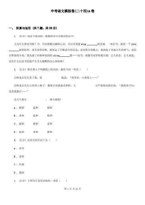 中考语文模拟卷(二十四)A卷