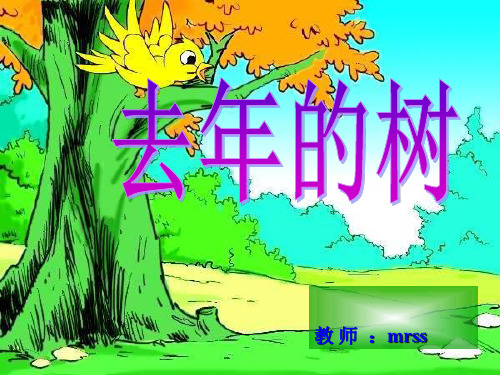 《去年的树》教学课件