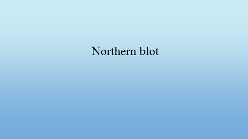 northern boltting