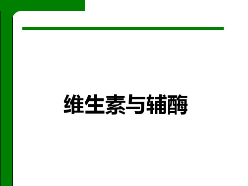 维生素与辅酶PPT精品医学课件