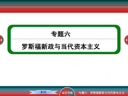 高考历史经济发展史罗斯福新政与当代资本主义