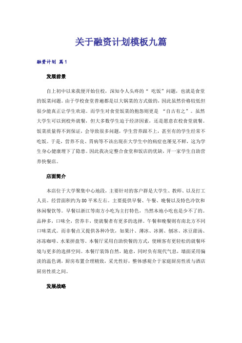 关于融资计划模板九篇