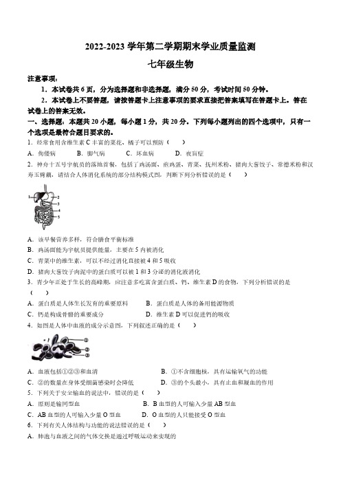 河南省安阳市等2地2022-2023学年七年级下学期期末生物试题(含答案)