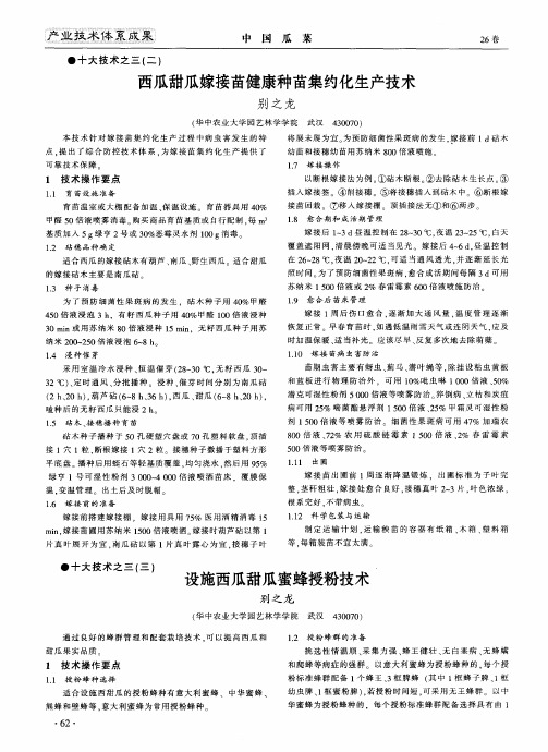 西瓜甜瓜嫁接苗健康种苗集约化生产技术
