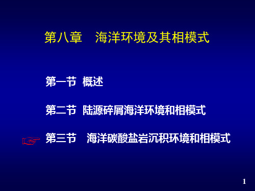 海洋环境及其相模式-3 (碳酸盐海相)