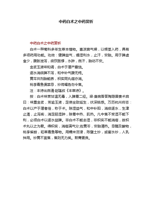 中药白术之中药赏析