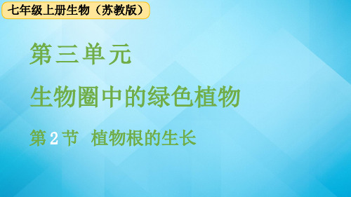 苏教版生物七年级上册 第五章  第二节 植物根的生长