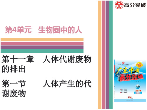生物第十一章第一节