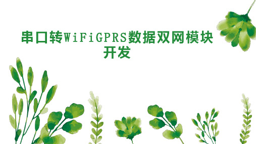 串口转WiFiGPRS数据双网模块开发