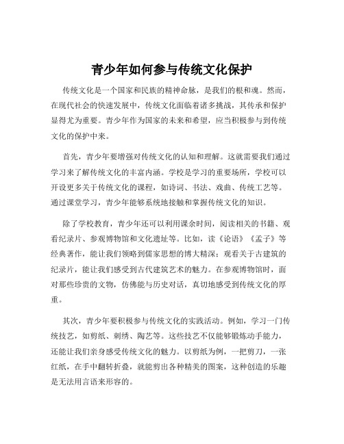 青少年如何参与传统文化保护