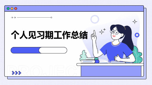 个人见习期工作总结PPT