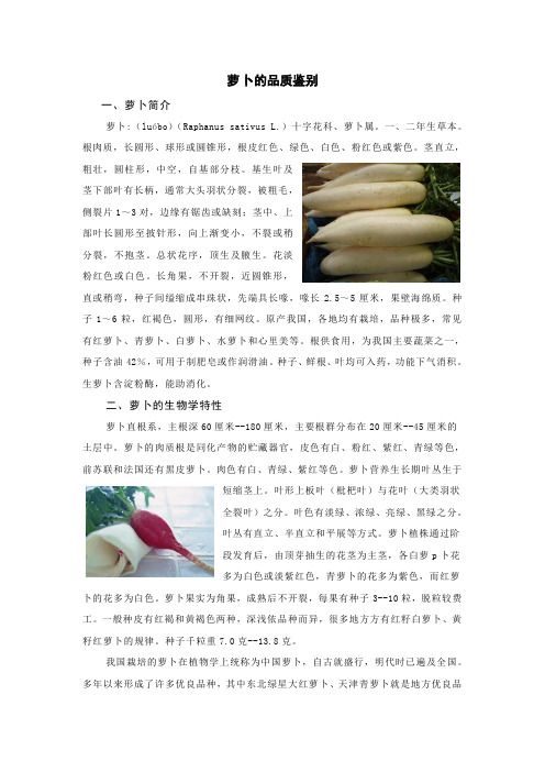 萝卜的品质鉴别(最全)word资料