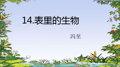 第14课《表里的生物》课件(共15张ppt)  2022-2023学年部编版语文六年级下册