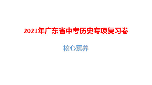 2021年广东省中考历史专项复习卷：核心素养